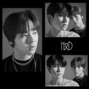 H&D 이미지