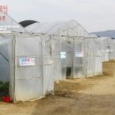 백옥농장 이미지