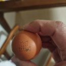 둥지축산 | 난각번호 보는 법, 계란 고르는 꿀팁 총정리