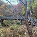 솔바람교 옹달샘 이미지