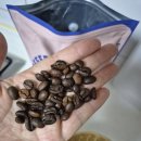 상사전 | 커피상사 사장님은출장중 홀빈 1kg 후기, 가성비 원두추천 제대로 !