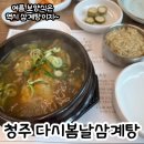 다시봄날 | 청주 보양식 맛집 :: 내수 다시봄날 삼계탕 옻닭 상황버섯삼계탕 후기