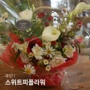 스위트피(sweetpea) | 부산 양정꽃집 스위트피플라워 부모님꽃선물