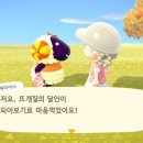 모양돌 이미지
