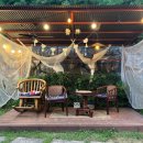 경주애견펜션 해피데이해피독 이미지