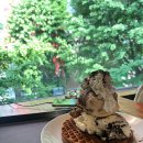 노나먹개 이미지