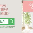 오렌지1공인중개사사무소 네이버블로그