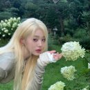 프로디헤어 이미지