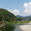 분천1리 이미지