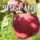 이철규사과 이미지