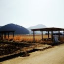 세븐일레븐(오수대로점)