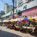 미로예술원주중앙시장(원주중앙시장) | [원주 가볼만한 곳] 미로예술중앙시장 방문 후기