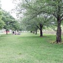 운문댐하류보4 이미지