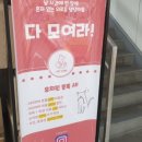 대백애견 이미지