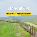 새한개량한우목장 | 충남 서산한우목장 웰빙산책로 가볼만한곳 근처 카페 두 곳