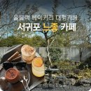 동광리-19 | 제주 느좋 감성 가득한 서귀포 대형카페 무로이