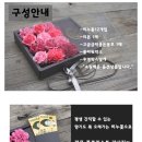 블라썸플라워비누꽃 이미지