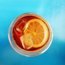 오렌지펫 이미지