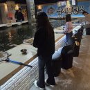 낚시 훈련소 | 평택 낚시훈련소 후기｜아이와 가기 좋은 실내낚시, 4kg 대물 잡은 썰!