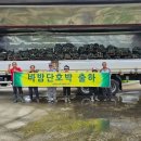 신소 이미지
