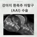 24시 라움동물의료센터 네이버블로그