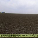 공포리 이미지