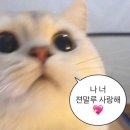 세븐일레븐광주하남우산점 | 광주 광산구 뼈해장국 맛집 [남다른 감자탕 하남 우산점]