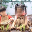 1298 | 고마워토토 광교점 모내기 흙체험수업 후기 | 쿠킹클래스 닭백숙 만들기 남매수업 솔직 리뷰