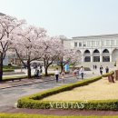삼육대학교 이미지