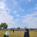 파크골프장 | 청주파크골프장 다녀온 후기 + IMP 파크골프공 사용기, 만족도 괜찮았습니다