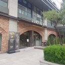 성수 미용실 준오헤어 두피케어 강추 후기!!