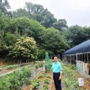 금이농장 이미지