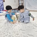 진성스치로폴