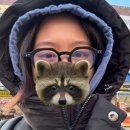 아이멍 | 내돈내산 후회없는 아이라인 문신제거 2차 후기 feat. 멍크림