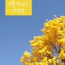 키즈노트 이미지