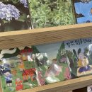 오달콤제주