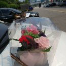 오아시스컨설팅주 이미지