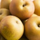 동의건강원 이미지