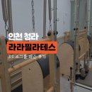 하루, 50분 | 청라 필라테스 추천 소그룹 레슨 '라라필라테스' 왕초보 인간탈곡기 썰