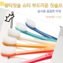 솔이문구 | 왕타칫솔 쇼티 부드러운 칫솔모 프리미엄 구강 관리 6개입 세트 실사용 후기