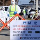 영암오리 이미지