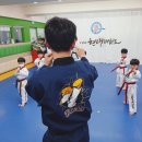글로벌박사 경희대 태권도장 네이버블로그