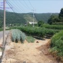 먹골사슴농장 이미지