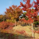 반룡마을회관 이미지