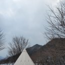핏들캠핑장 티스토리