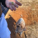 반자주 일광신도시점 이미지