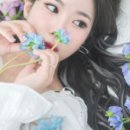 나루사진관
