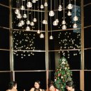 뉴월드관광나이트 이미지