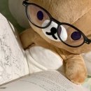 재활용 동네마당 | 서울국제도서전을 다녀오다📚