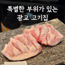 광교중앙로296번길 | 상현역 삼겹살 맛집 광교 회식 고기집은 진짜돼지